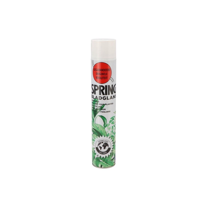 <h4>Floristry Leaf Gloss 750ml</h4>