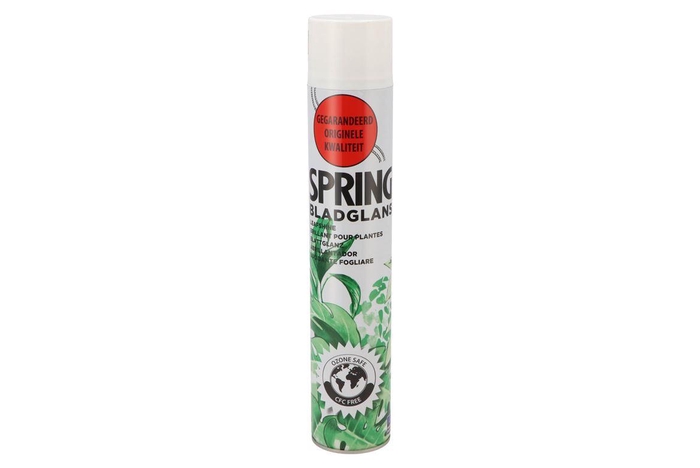 <h4>Floristry Leaf Gloss 750ml</h4>