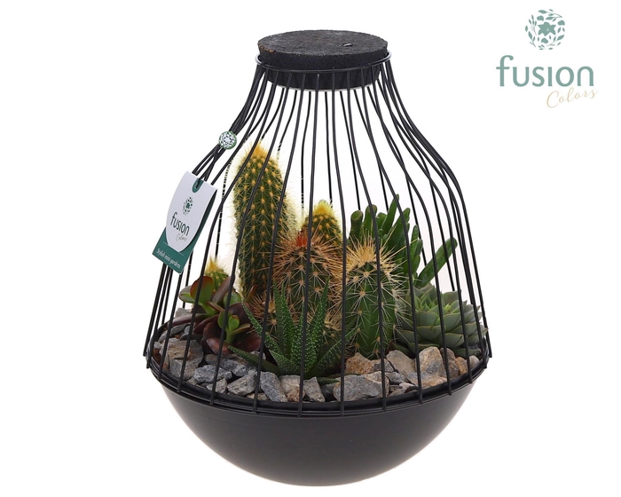 <h4>Vogelkooi metaal zwart Large LED met Cactussen</h4>