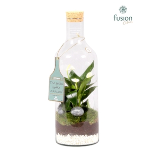 Green Bottle Fles Medium met Anthurium