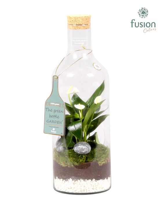 <h4>Green Bottle Fles Medium met Anthurium</h4>