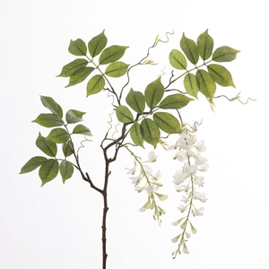 Af Wisteria L115cm White