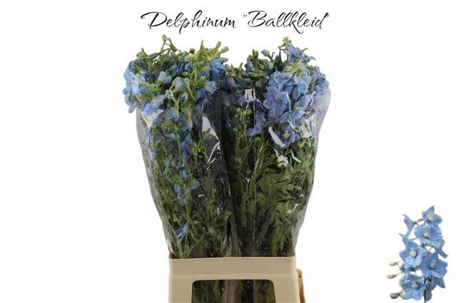 <h4>DELPH EN BALLKLEID</h4>