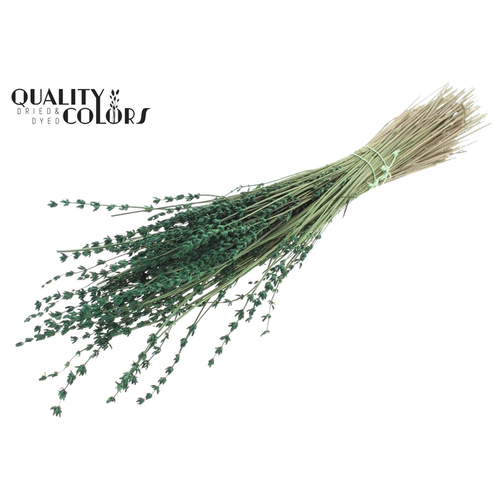 <h4>Lavendel per bunch Green</h4>