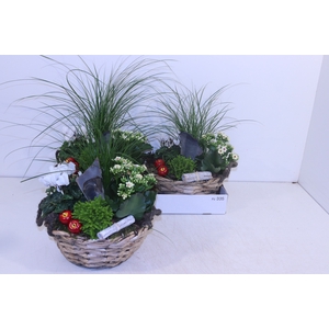 ARR TUINPLANTEN