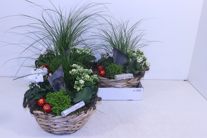 <h4>ARR TUINPLANTEN</h4>