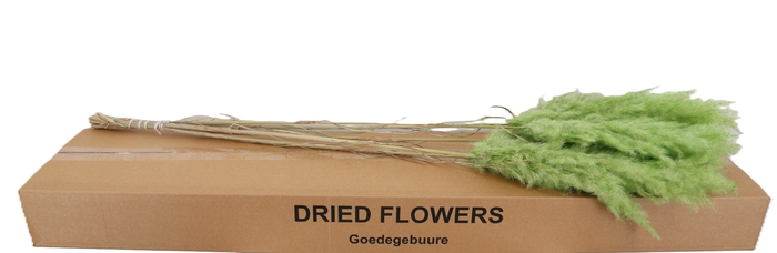 <h4>DROOGBL BEWERKT H%</h4>