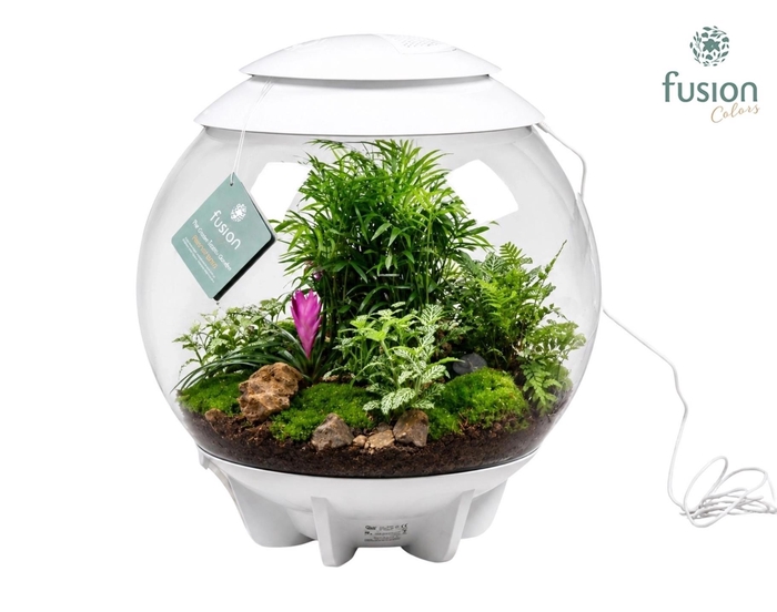 <h4>Terrarium XXL Exclusive wit met arrangement groene planten 11pp</h4>