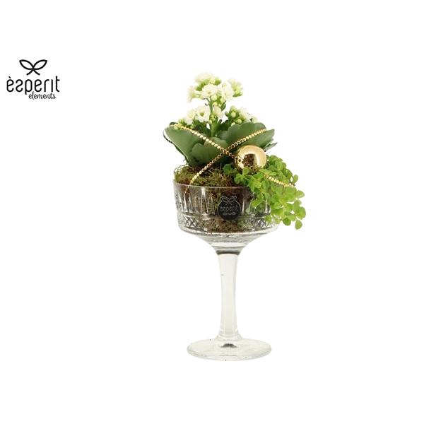 <h4>Arrangementen Kerst 6%</h4>