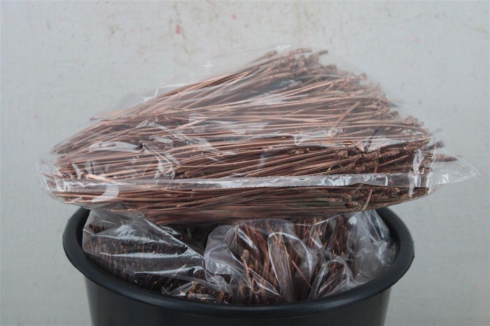 <h4>Dennen Needles Copper P Bag</h4>