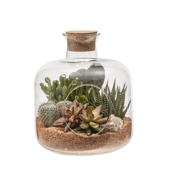 <h4>GLASS COMPOSITION - VASE WITH CORK LID - Ø 18 H 24 - IN CARDBOARD BOX CM20X20 (CACTUS EN SUCCULENTEN)</h4>