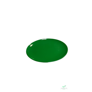 MELAMINE PLATE CHARROUX   28*28 H2 S-GREEN 130203