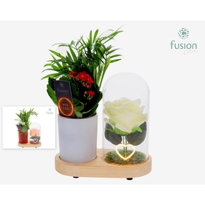 LED Lichtbal Hart houten planter met arrangement