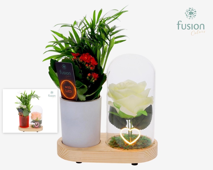 <h4>LED Lichtbal Hart houten planter met arrangement</h4>