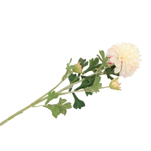 Silk Dahlia 3x Creme 65cm Nm