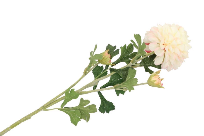 <h4>Silk Dahlia 3x Creme 65cm Nm</h4>