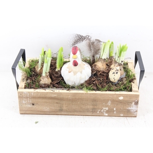 arr4 Narcis JS - Dienblad metaal greep