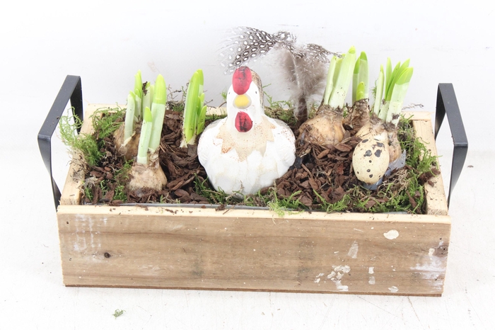 <h4>arr4 Narcis JS - Dienblad metaal greep</h4>