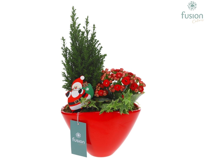 <h4>Keramiek ovaal Medium met Kerst Arrangement</h4>