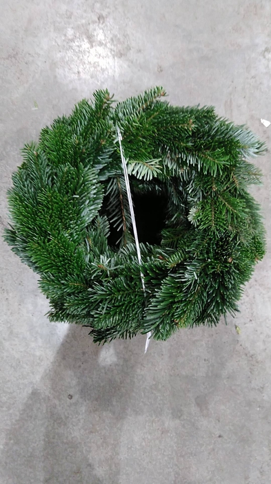 <h4>ADVENTKRANZ 25CM NORDMANN</h4>