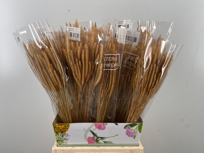 <h4>DROOGBL BEWERKT H%</h4>