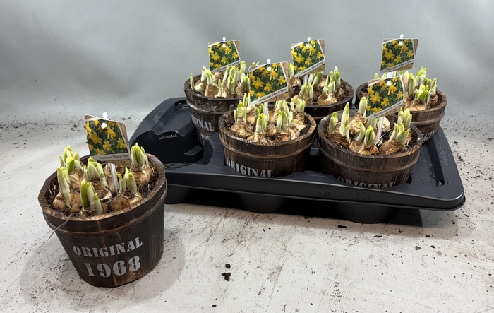 <h4>ARR N TETE A TETE</h4>