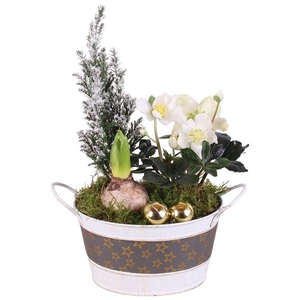 Christmas Arr. Outdoor Zinc Pot Round Star Design Ø17cm 3PP