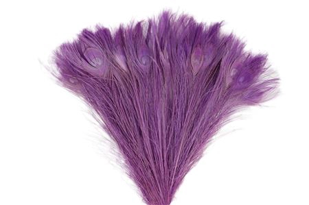 BASIC FEATHER PEACOCK L45-50