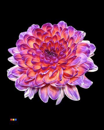 <h4>Chr T Altaj Bonaire</h4>