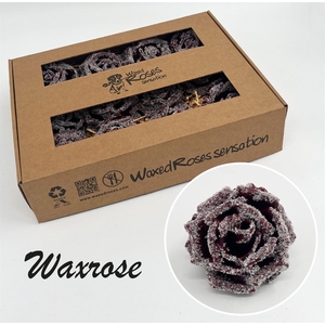 Zijde R Wx Icy Bordeaux