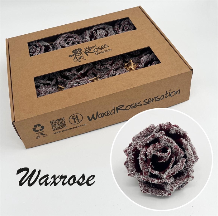 <h4>Zijde R Wx Icy Bordeaux</h4>