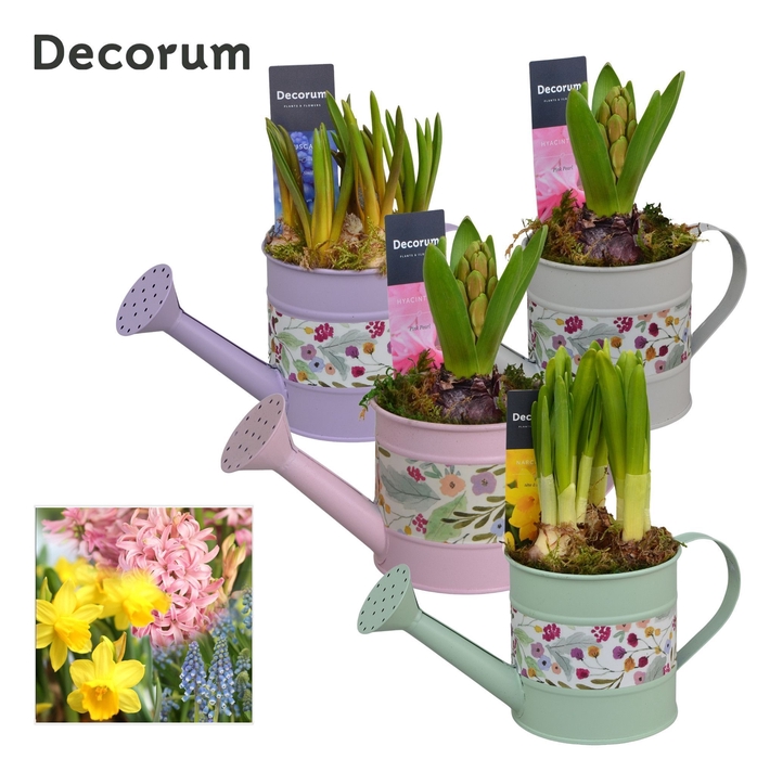 Bollenmix Watering can Flowers HL14023B