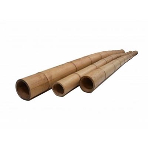 BAMBOE 300 CM - O 100/120