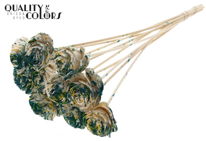 Shola Beauty Rose 6cm on stem Multicolour Green/Yellow