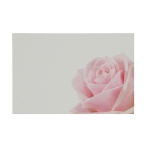 Kaart 9*6cm x50 Rose Pink