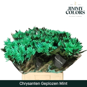 Chr G Topspin Mint