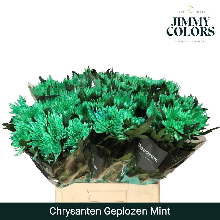 <h4>Chr G Topspin Mint</h4>