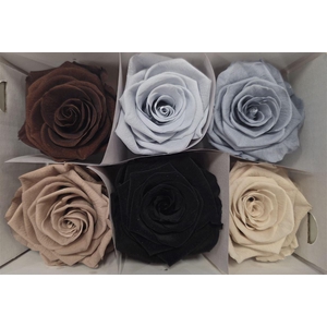 Ro Pres Classic Mix Earth