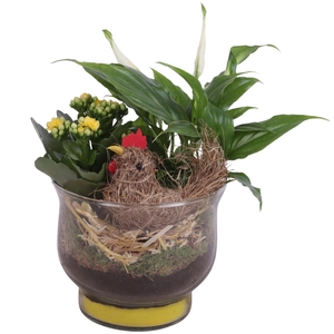 Easter Arr. Indoor Glass Tulip Vase Ø16cm 2PP