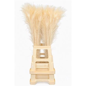 FEATHER PEACOCK BLEACHED 80-90CM