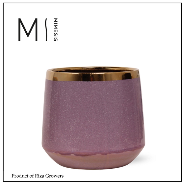 <h4>Mimesis Pottery Ceramic Celeste - 12cm</h4>