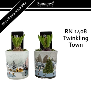 1408 - Twinkling Town (Hyacint)