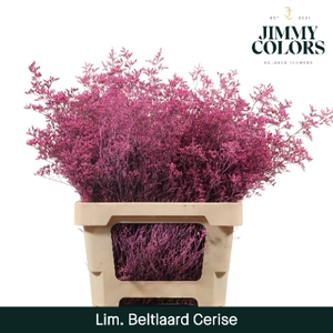 Lim Bel L70 cerise