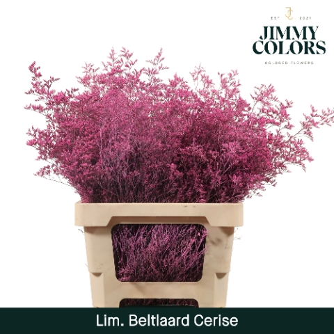 <h4>Lim Bel L70 Cerise</h4>