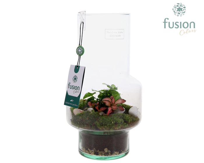 <h4>Green BottleMia Medium met Arrangement</h4>