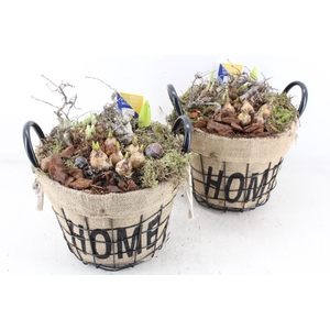 arr4 Bollenmix MB - Jute/gaas mand home kl. x3