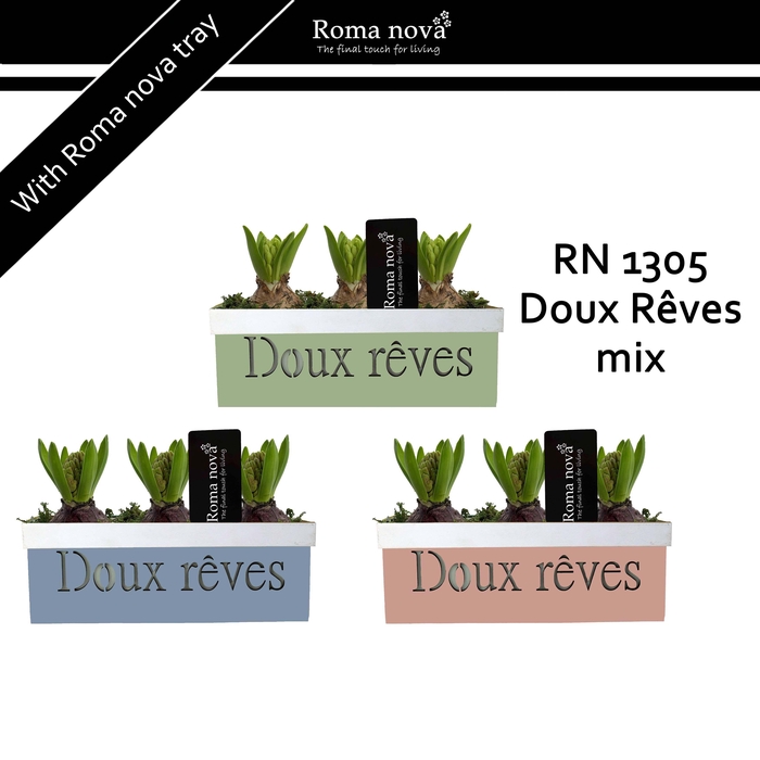 <h4>Hya Rom 1305 Doux Rêves Mix</h4>