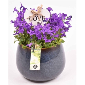 Keramiek bol pot 16.5cm