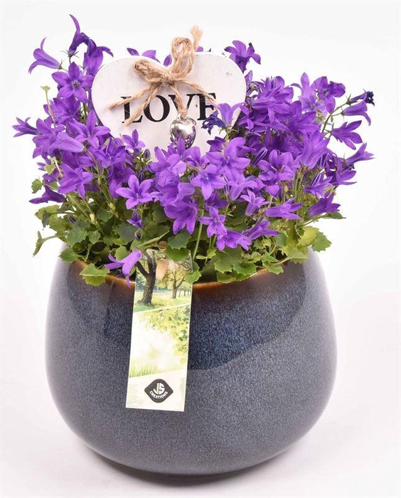 <h4>Keramiek bol pot 16.5cm</h4>