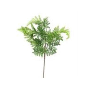 Athyrium leaf spray green 57cm
